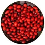 BMT® Q10 + Selenium MICROENCAPSULATED + Pomegranate + Nutrilegs Forte 50ml (darilo)