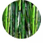 B-complex + Silicium, 60 kapsul