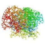 Protein Digest, 60 kapsul