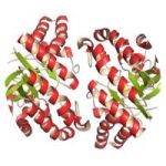 Protein Digest, 60 kapsul