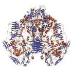 Protein Digest, 60 kapsul