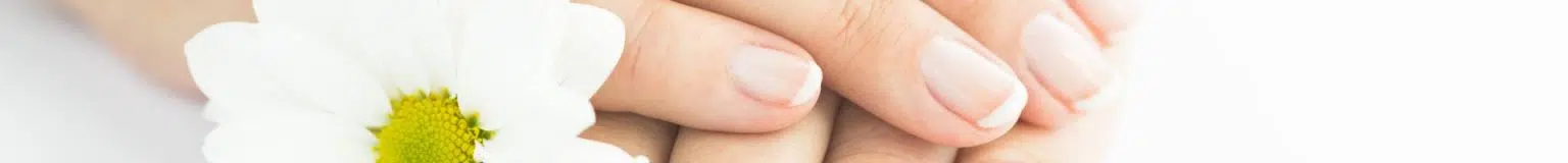 Collagen Powder Blend, 30 vrečk