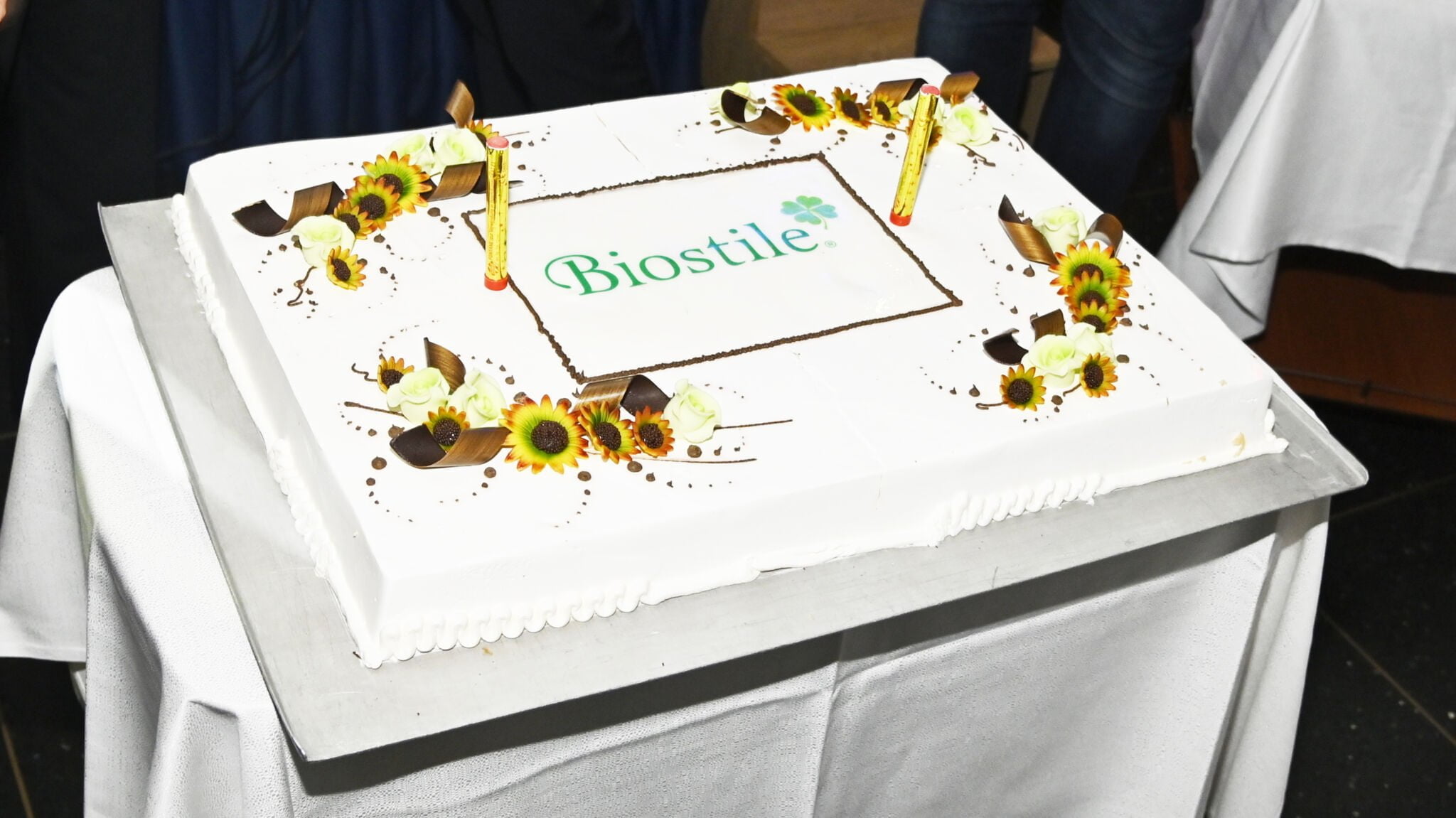 BOŽIČNO NOVOLETNA ZABAVA BIOSTILE