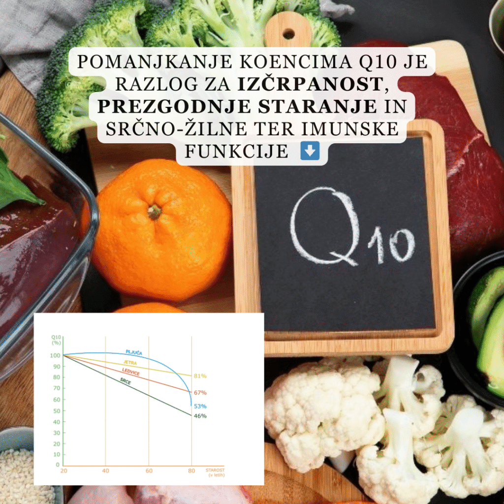 Brand: BMT Q10 - Izčrpanost - LP1