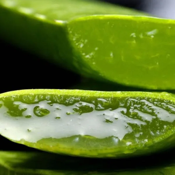 Biostile Aloe Vera, 1 L