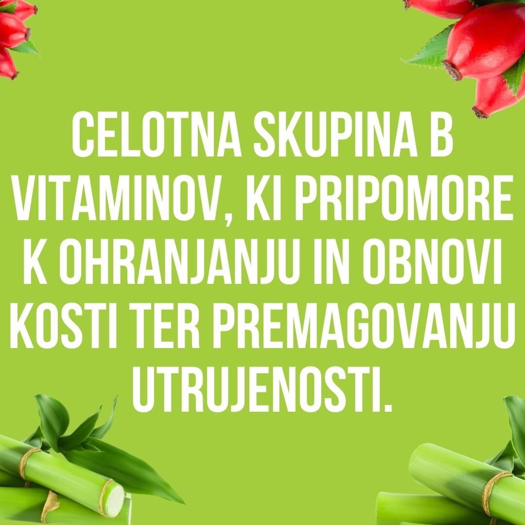 Nutribones + B-Complex + darilo Easy step 50 mL