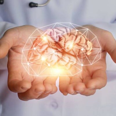 brain support celice 1 Brain Support
