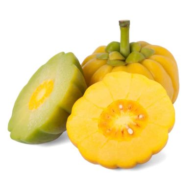 Microshapper + ViaChole (-20%)